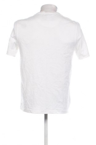 Męski T-shirt Canda, Rozmiar M, Kolor Biały, Cena 62,99 zł