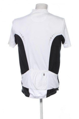Ανδρικό t-shirt Crivit, Μέγεθος L, Χρώμα Πολύχρωμο, Τιμή 4,99 €