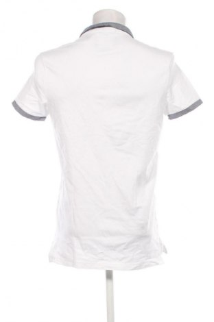 Tricou de bărbați Hollister, Mărime L, Culoare Alb, Preț 65,99 Lei