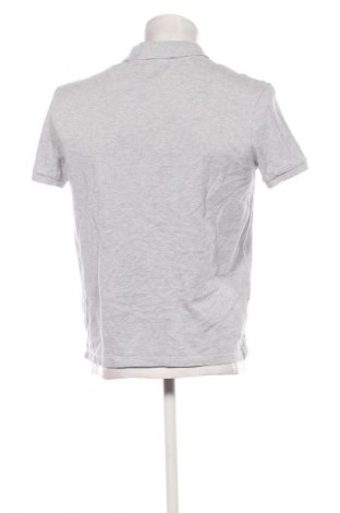 Herren T-Shirt Lacoste, Größe L, Farbe Grau, Preis 37,99 €