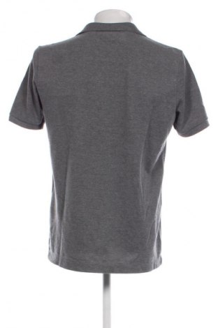 Herren T-Shirt Lacoste, Größe L, Farbe Grau, Preis 37,99 €