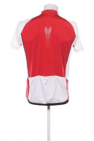 Ανδρικό t-shirt Shamp, Μέγεθος M, Χρώμα Πολύχρωμο, Τιμή 5,99 €