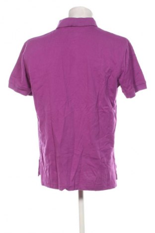 Herren T-Shirt Tommy Hilfiger, Größe XL, Farbe Lila, Preis € 47,99