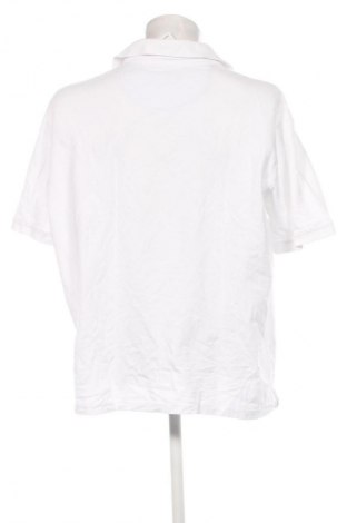 Pánské tričko  Unbranded, Velikost 5XL, Barva Bílá, Cena  269,00 Kč