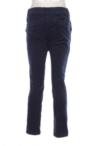 Herren Cordhose Watson's, Größe M, Farbe Blau, Preis € 13,99