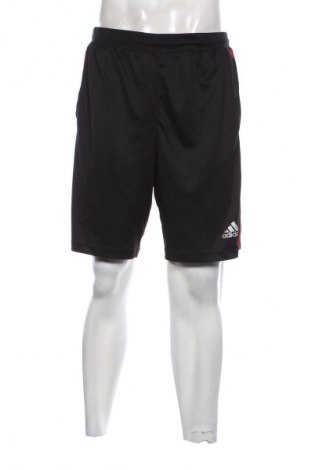 Herren Shorts Adidas, Größe L, Farbe Mehrfarbig, Preis € 23,99