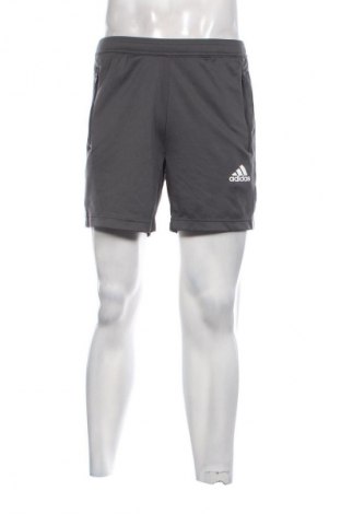 Мъжки къс панталон Adidas, Размер S, Цвят Сив, Цена 34,99 лв.