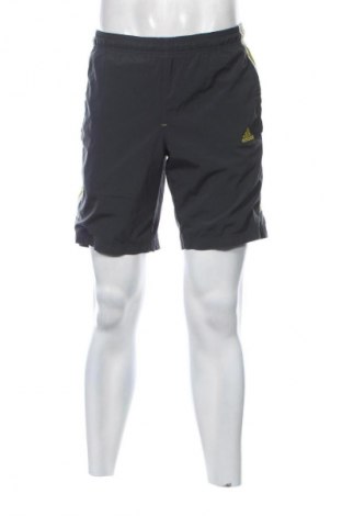 Herren Shorts Adidas, Größe S, Farbe Grau, Preis 20,99 €