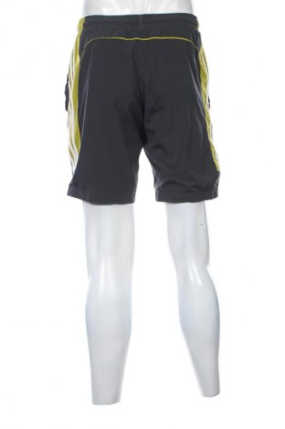 Herren Shorts Adidas, Größe S, Farbe Grau, Preis 20,99 €
