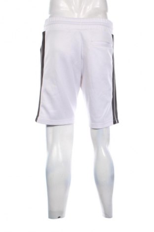 Pantaloni scurți de bărbați Black Squad, Mărime M, Culoare Multicolor, Preț 74,99 Lei
