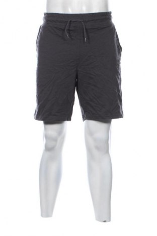 Herren Shorts Crane, Größe L, Farbe Grau, Preis € 13,99