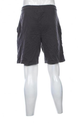Herren Shorts Crane, Größe L, Farbe Grau, Preis € 13,99