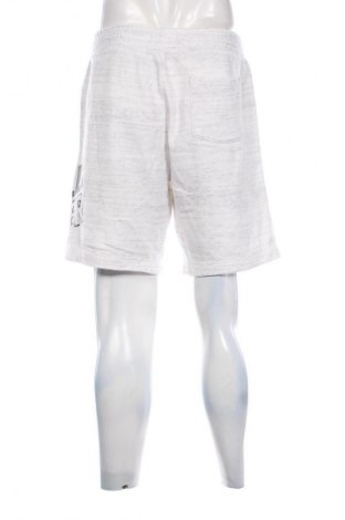 Pantaloni scurți de bărbați Hollister, Mărime L, Culoare Multicolor, Preț 65,99 Lei