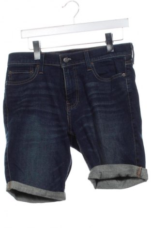 Herren Shorts Hollister, Größe M, Farbe Blau, Preis 23,99 €