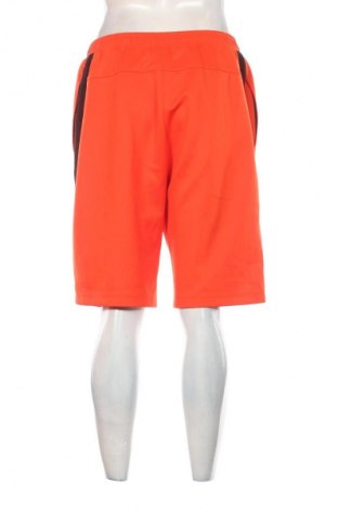 Pantaloni scurți de bărbați Men Plus, Mărime L, Culoare Portocaliu, Preț 74,99 Lei