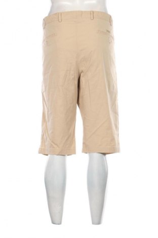 Herren Shorts Paul & Shark, Größe XL, Farbe Beige, Preis € 43,99