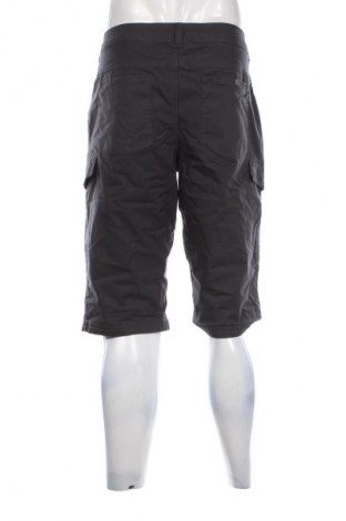 Herren Shorts Quechua, Größe L, Farbe Grau, Preis 20,99 €