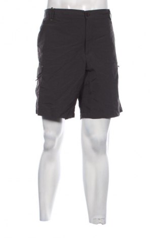 Herren Shorts Regatta, Größe XL, Farbe Grau, Preis € 23,99