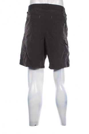 Herren Shorts Regatta, Größe XL, Farbe Grau, Preis € 23,99
