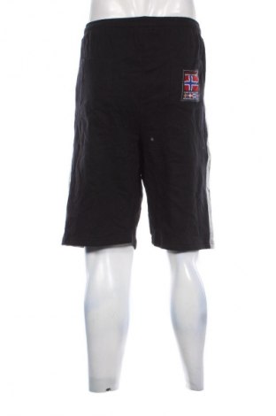Herren Shorts Unbranded, Größe XXL, Farbe Mehrfarbig, Preis 13,99 €