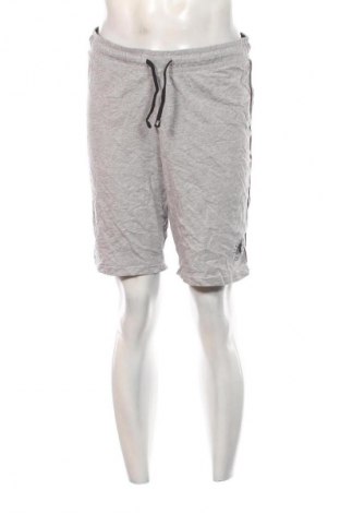 Pánske kraťasy  Unbranded, Veľkosť L, Farba Sivá, Cena  16,95 €