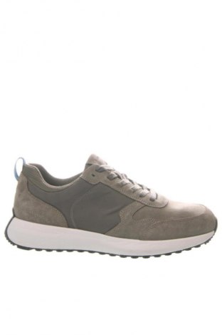 Herrenschuhe Geox, Größe 43, Farbe Grün, Preis 142,99 €