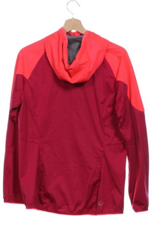 Męska bluza sportowa Regatta, Rozmiar XS, Kolor Kolorowy, Cena 134,99 zł