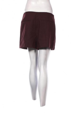 Hosenrock Zara, Größe L, Farbe Braun, Preis € 13,99