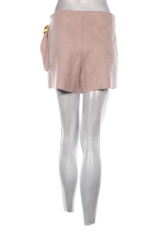 Hosenrock Zara, Größe S, Farbe Lila, Preis 9,99 €