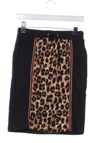 Φούστα Betty Barclay, Μέγεθος XS, Χρώμα Πολύχρωμο, Τιμή 35,99 €