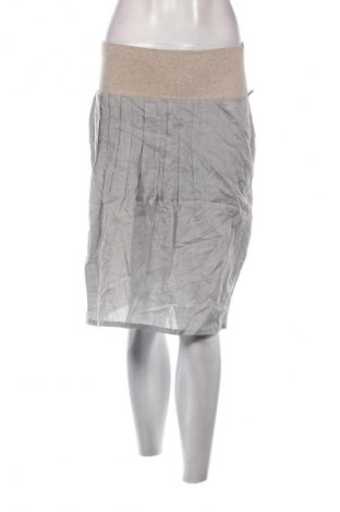 Φούστα Fabiana Filippi, Μέγεθος S, Χρώμα Γκρί, Τιμή 78,99 €