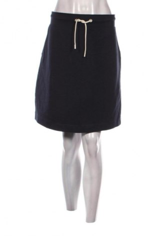 Φούστα Women's Collection, Μέγεθος XL, Χρώμα Μπλέ, Τιμή 5,99 €
