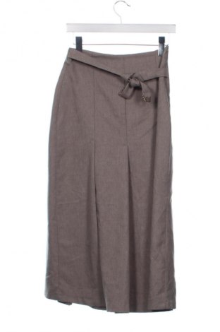 Φούστα Zara, Μέγεθος XS, Χρώμα Γκρί, Τιμή 17,99 €