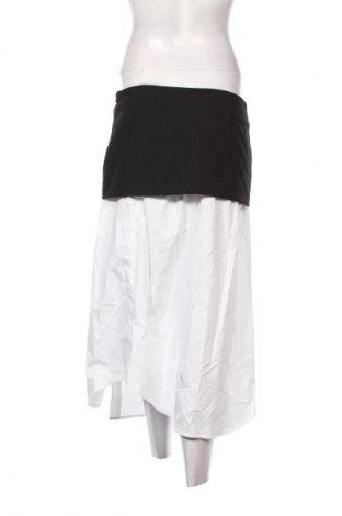 Fustă Zara, Mărime M, Culoare Multicolor, Preț 202,99 Lei