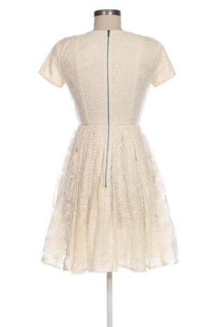 Kleid BCBG Max Azria, Größe S, Farbe Ecru, Preis 129,99 €