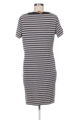Φόρεμα Betty Barclay, Μέγεθος XL, Χρώμα Πολύχρωμο, Τιμή 88,99 €