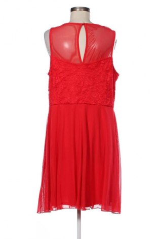 Kleid Body Flirt, Größe XL, Farbe Rot, Preis 21,99 €