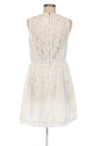 Kleid Cache Cache, Größe L, Farbe Weiß, Preis 20,99 €