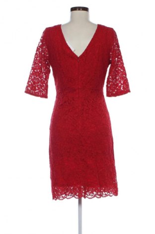 Kleid Camaieu, Größe M, Farbe Rot, Preis € 20,99