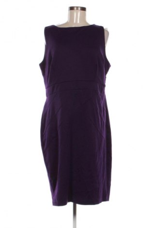 Kleid Dorothy Perkins, Größe XL, Farbe Lila, Preis 18,99 €