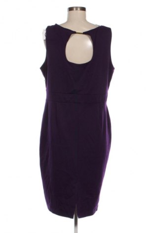 Kleid Dorothy Perkins, Größe XL, Farbe Lila, Preis 18,99 €