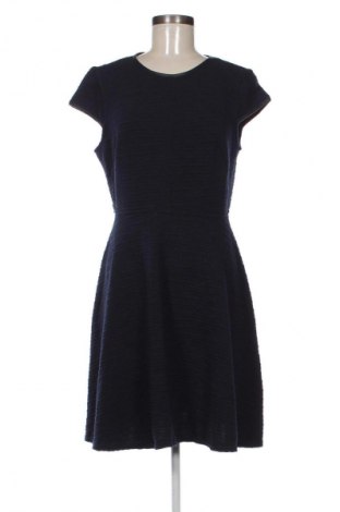 Kleid Dorothy Perkins, Größe L, Farbe Blau, Preis € 43,99
