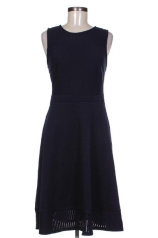 Šaty  Dorothy Perkins, Veľkosť M, Farba Modrá, Cena  16,95 €