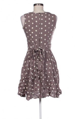 Kleid Dorothy Perkins, Größe M, Farbe Mehrfarbig, Preis € 18,99