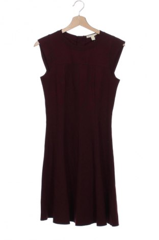 Kleid Esprit, Größe XS, Farbe Rot, Preis 27,99 €