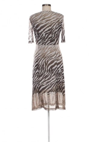 Kleid Gerry Weber, Größe S, Farbe Mehrfarbig, Preis € 57,99