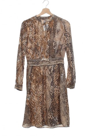 Kleid H&M, Größe XS, Farbe Mehrfarbig, Preis € 8,99