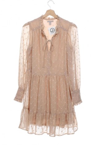 Kleid H&M, Größe XS, Farbe Beige, Preis 20,99 €