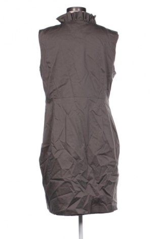 Sukienka Jake*s, Rozmiar XL, Kolor Brązowy, Cena 157,99 zł
