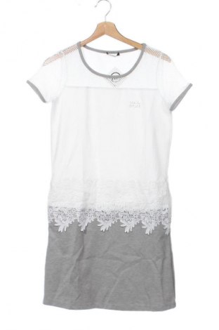 Kleid Liu Jo, Größe XS, Farbe Mehrfarbig, Preis € 43,99